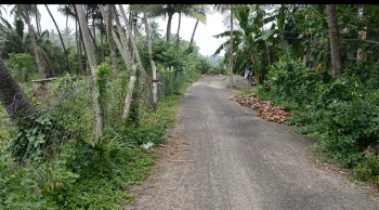Agricultural Land for Sale in Cheyyur, Chengalpattu
