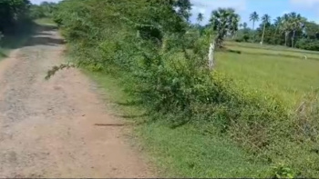 Agricultural Land for Sale in Maduranthakam, Chengalpattu