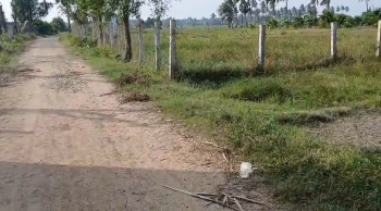  Agricultural Land for Sale in Budur, Chengalpattu