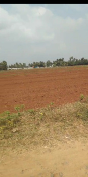  Agricultural Land for Sale in Cheyyur, Chengalpattu