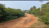 Agricultural Land for Sale in East Pondy Road, Villupuram