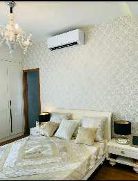 1 BHK House & Villa for Rent in Model Town, Jalandhar