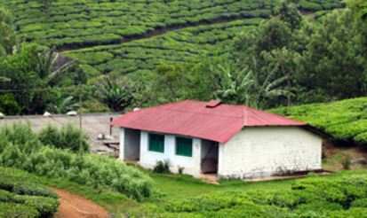 Agricultural Land 33600 Sq.ft. for Sale in