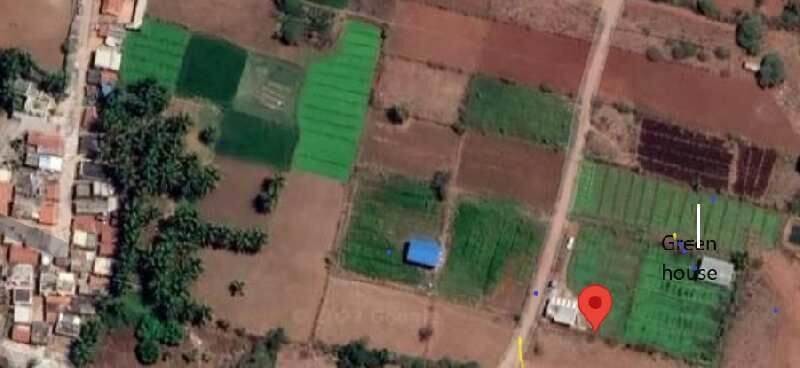  Agricultural Land 33600 Sq.ft. for Sale in Shoolagiri, Hosur