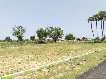  Residential Plot for Sale in Walajabad, Chennai