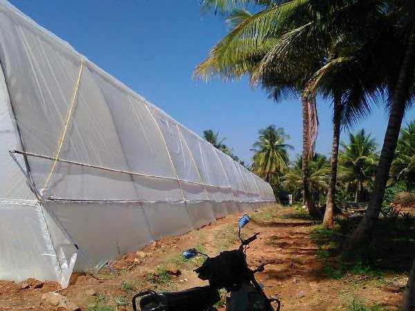 Agricultural Land 2000 Sq. Meter for Sale in Channarayapatna, Hassan