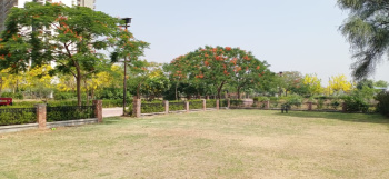  Commercial Land for Sale in Teekli Village, Sohna, Gurgaon