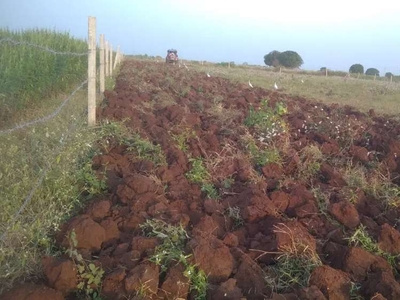  Agricultural Land 16 Sq.ft. for Sale in Chincholi, Gulbarga