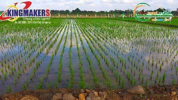  Agricultural Land for Sale in Lathur, Kanchipuram