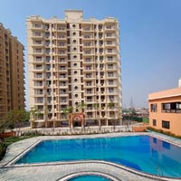 2 BHK Flat for Sale in Sector 24 Bhiwadi