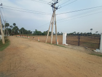 Agricultural Land for Sale in Lakkavarapu Kota, Vizianagaram
