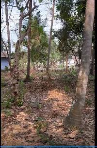  Residential Plot for Sale in Manappadam, Palakkad