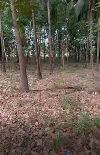  Residential Plot for Sale in Manappadam, Palakkad
