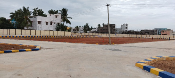  Residential Plot for Sale in Trichy Madurai Road, Tiruchirappalli