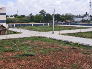  Residential Plot for Sale in Thuvakudi, Tiruchirappalli