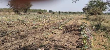  Agricultural Land for Sale in Savli Town, Vadodara