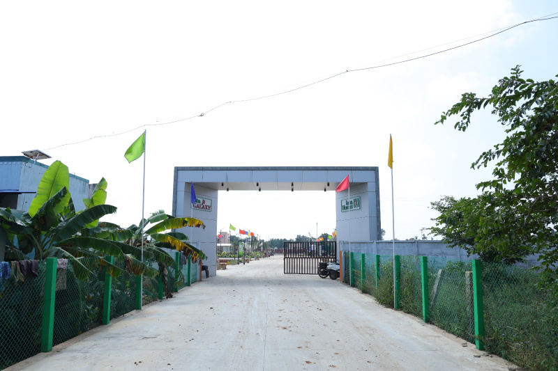  1200 Sq.ft. Residential Plot for Sale in Madurai Road, Tiruchirappalli