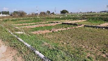  Commercial Land for Sale in Kharar, Mohali