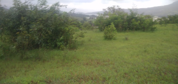  Agricultural Land for Sale in Pavana Lake, Pune