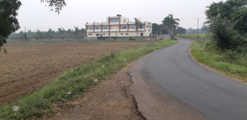  Industrial Land for Rent in Vesu, Surat