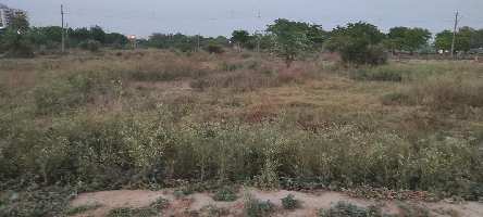  Residential Plot for Sale in Sector 8 Sonipat