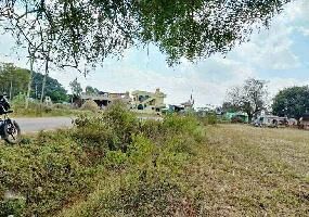  Agricultural Land for Sale in Doddaballapur, Bangalore