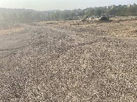  Agricultural Land for Rent in Wadachi Wadi, Pune