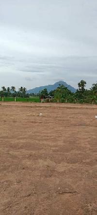  Residential Plot for Sale in Vembakkam, Tiruvannamalai