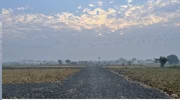  Agricultural Land for Sale in Pataudi Road, Gurgaon