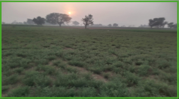 Agricultural Land for Sale in Sector 13 IMT Manesar, Gurgaon, Gurgaon