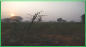  Agricultural Land for Sale in Sector 13 IMT Manesar, Gurgaon, Gurgaon