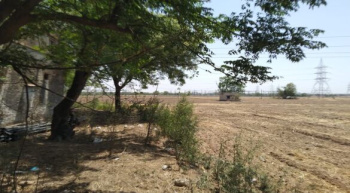  Agricultural Land for Sale in Dharuhera, Rewari