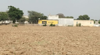  Agricultural Land for Sale in NH 8, Gurgaon