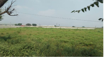  Agricultural Land for Sale in Farrukhnagar, Gurgaon