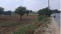  Residential Plot for Sale in Sector 95 Gurgaon