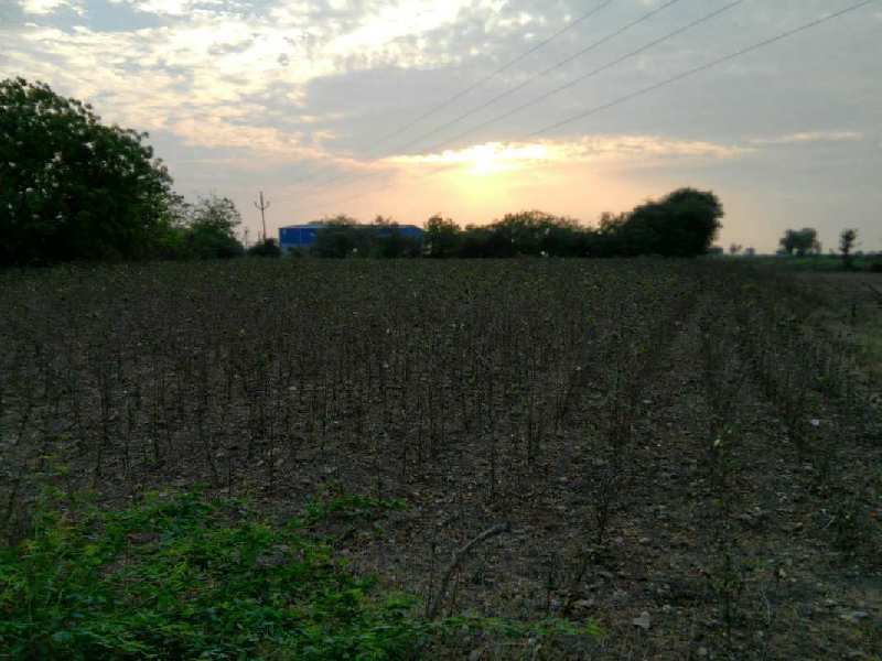 Agricultural Land 2 Acre for Sale in Phirangipuram, Guntur