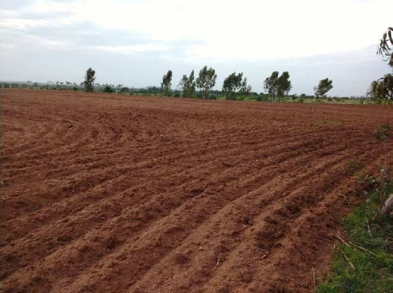  Agricultural Land 5 Acre for Sale in Cherial, Warangal