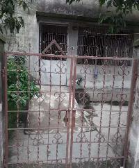 2 BHK House for Rent in Purbachal, Durgapur