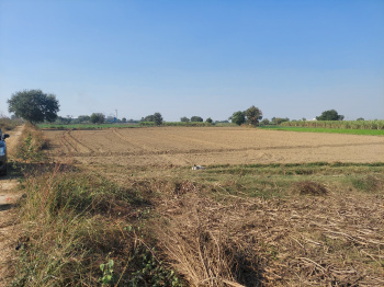  Industrial Land for Sale in Pilkhuwa, Hapur