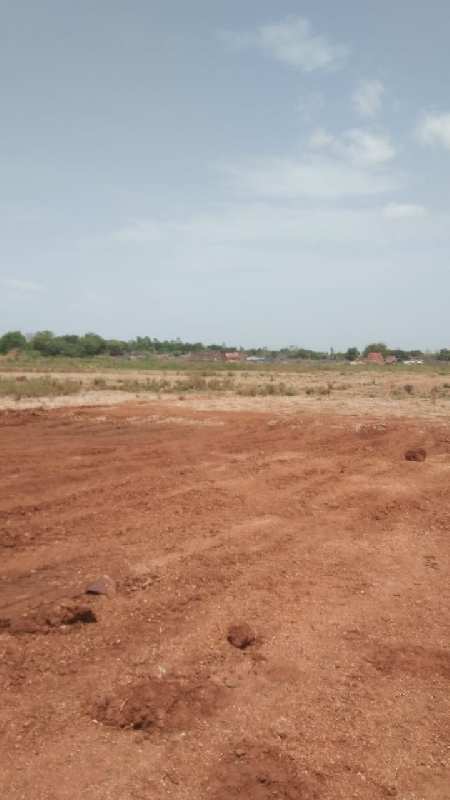 Agricultural Land 30 Acre for Sale in Naidupeta, Nellore