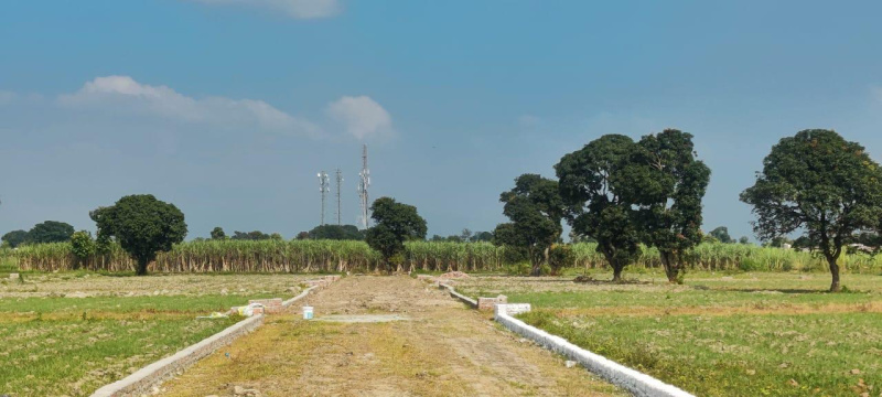  200 Sq. Yards Residential Plot for Sale in Doiwala, Dehradun