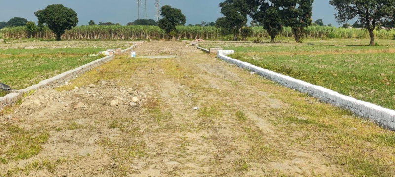  200 Sq. Yards Residential Plot for Sale in Doiwala, Dehradun