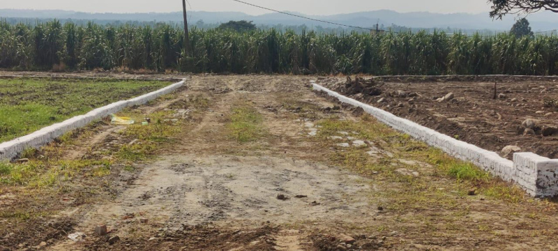  200 Sq. Yards Residential Plot for Sale in Doiwala, Dehradun