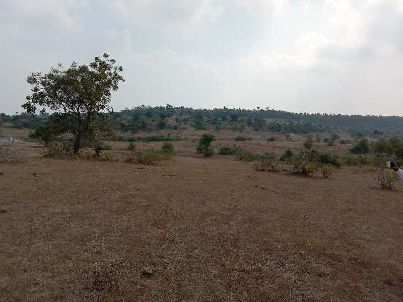 Agricultural Land 100 Acre for Sale in Chincholi, Kalaburagi