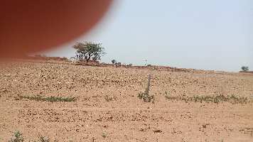  Agricultural Land for Sale in Wazirpur, Gurgaon