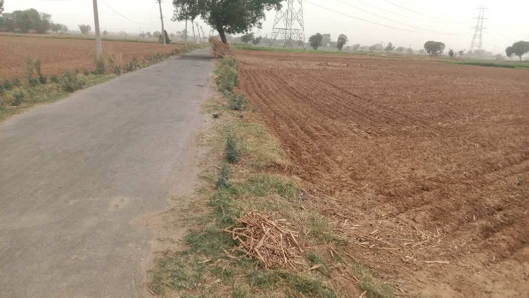  Agricultural Land 16 Acre for Sale in Garhi Bolni Road, Rewari