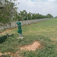  Agricultural Land for Sale in Jatusana, Rewari