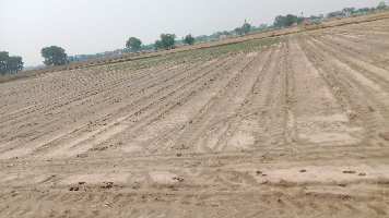  Agricultural Land for Sale in Sector 92 Gurgaon