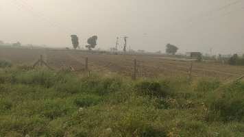  Agricultural Land for Sale in Tapukara, Bhiwadi