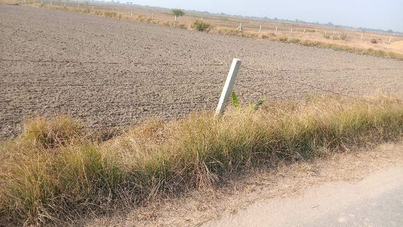 Agricultural Land 18 Acre for Sale in Pataudi, Gurgaon